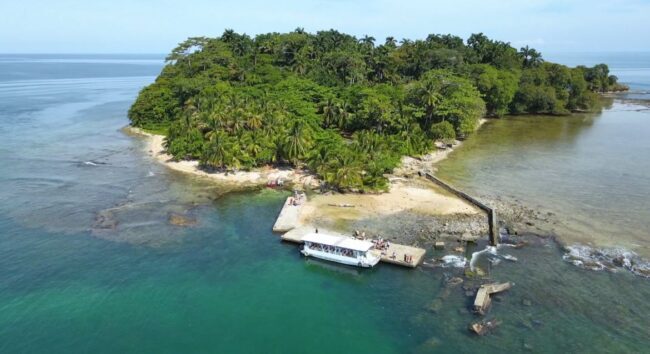3 cosas que debes saber antes de visitar Isla Uvita (Quiribrí) en Limón