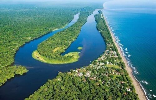Tortuguero