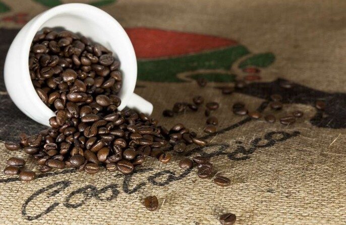 Café de Costa Rica: Cómo Lograr la Taza Perfecta