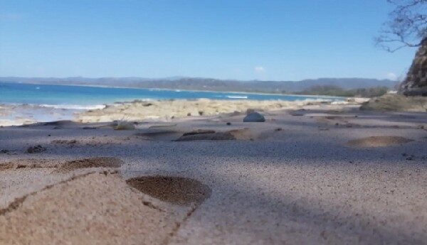 Playa Rosada