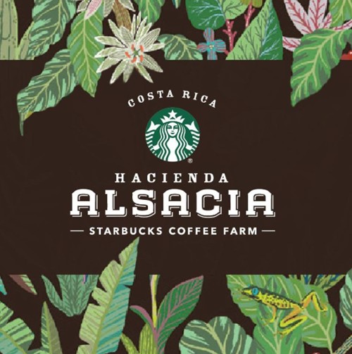 Café Starbucks Finca Alsacia Costa Rica